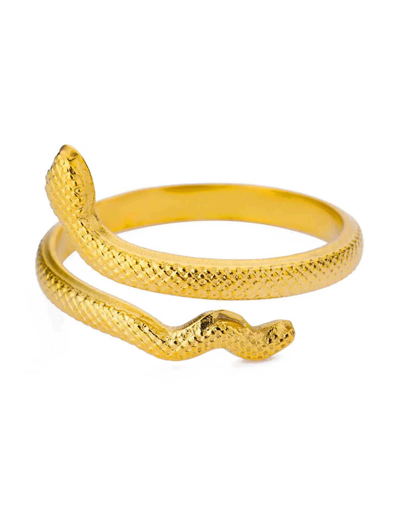Gold Plated Stainless Steel Snake Ring - Palm and Thread