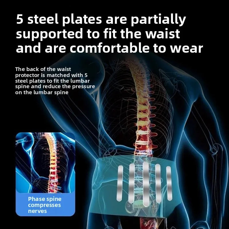 Professional-Grade Lumbar Support Belt - Palm and Thread