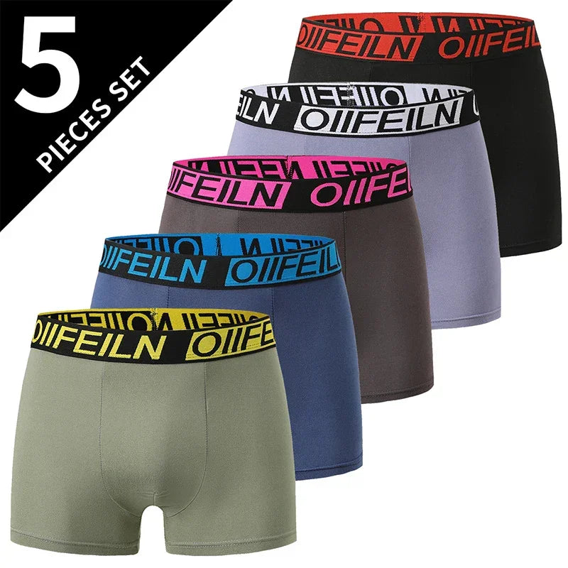 Printed Boxer Underwear - Palm and Thread