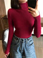 Thick Sweater Knitted Ribbed Pullover - Palm and Thread