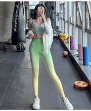 Seamless Gradient Yoga Leggings