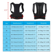Back Brace Posture Corrector Belt - Palm and Thread