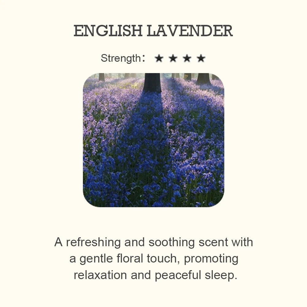 Hotel Inspired Aromatherapy Scent Diffuser - Palm and Thread