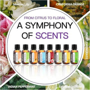 Essential Oils Set for Humidifiers & Diffusers - Palm and Thread