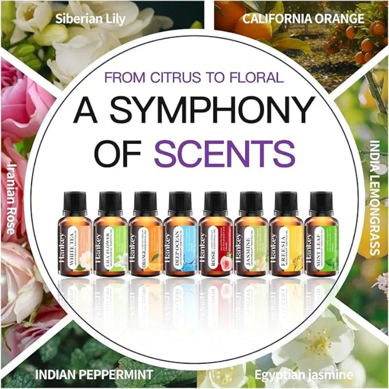 Essential Oils Set for Humidifiers & Diffusers - Palm and Thread