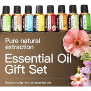 Essential Oils Set for Humidifiers & Diffusers - Palm and Thread