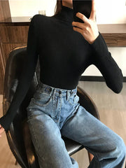 Thick Sweater Knitted Ribbed Pullover - Palm and Thread
