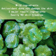 Collagen Sleeping Facial Mask - Palm and Thread