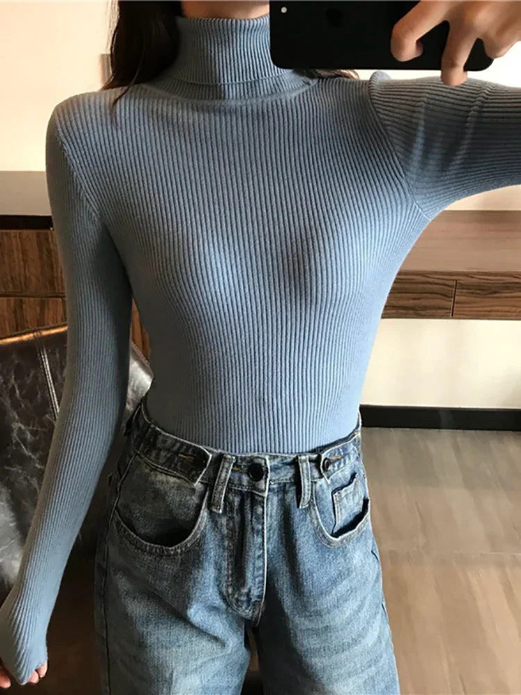Thick Sweater Knitted Ribbed Pullover - Palm and Thread