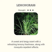 Hotel Inspired Aromatherapy Scent Diffuser - Palm and Thread