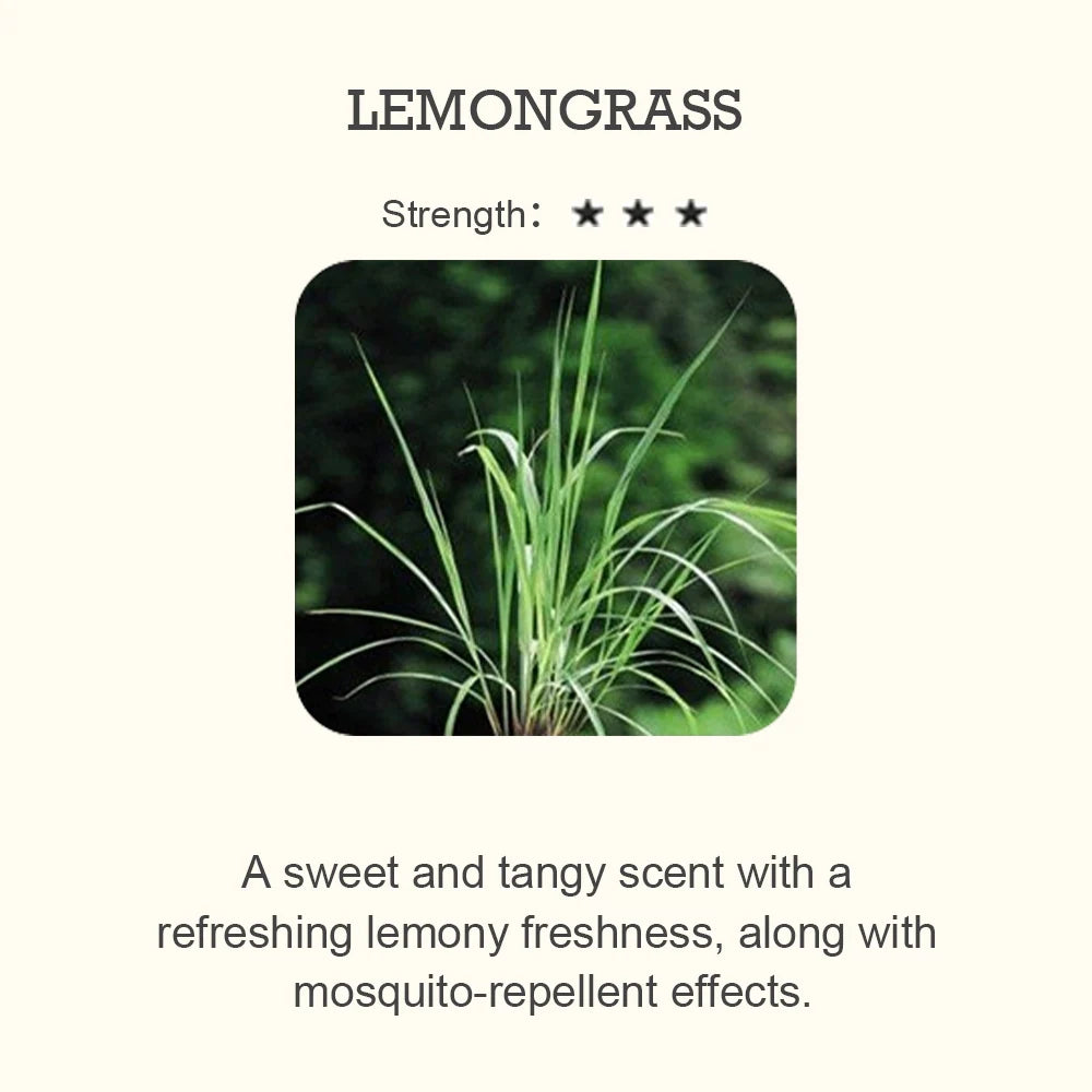 Hotel Inspired Aromatherapy Scent Diffuser - Palm and Thread